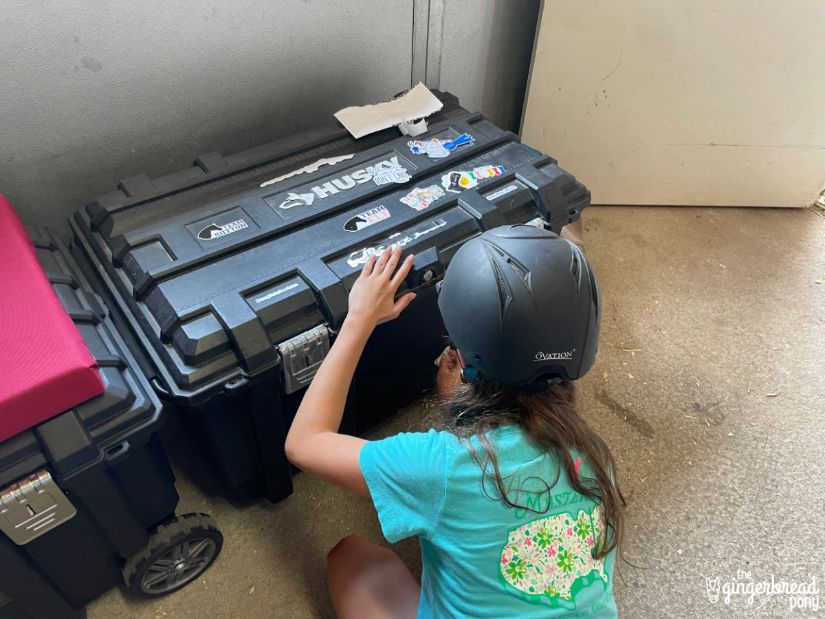 Western Horseback Riding Vinyl Horse Stickers 5-Pack