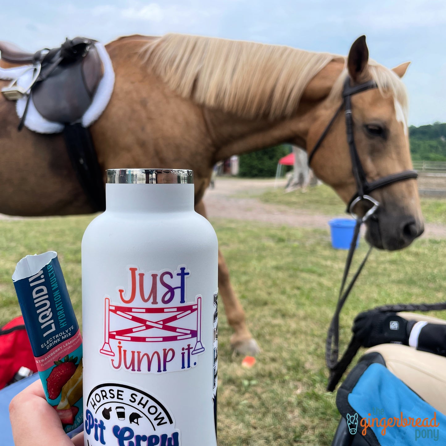 Gingerbread Pony Vinyl Stickers 6-Pack